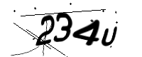 captcha_img